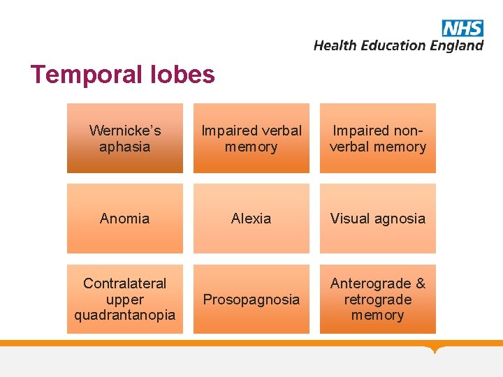 Temporal lobes Wernicke’s aphasia Impaired verbal memory Impaired nonverbal memory Anomia Alexia Visual agnosia