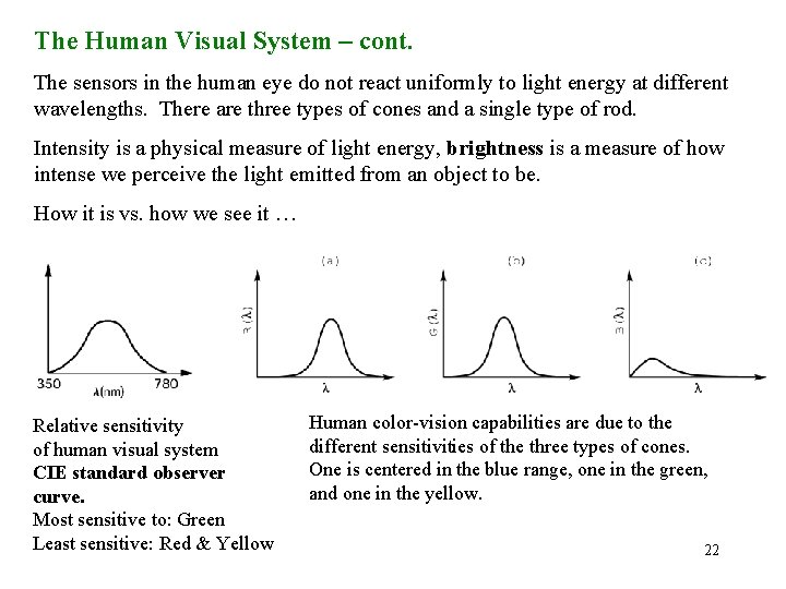 The Human Visual System – cont. The sensors in the human eye do not