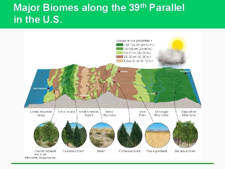 Major Biomes along the 39 th Parallel in the U. S. 