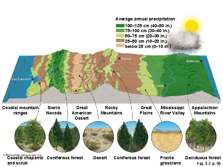 Average annual precipitation 100– 125 cm (40– 50 in. ) 75– 100 cm (30–