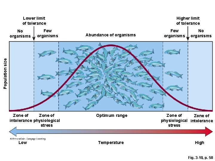 Higher limit of tolerance Lower limit of tolerance Few organisms Abundance of organisms Few