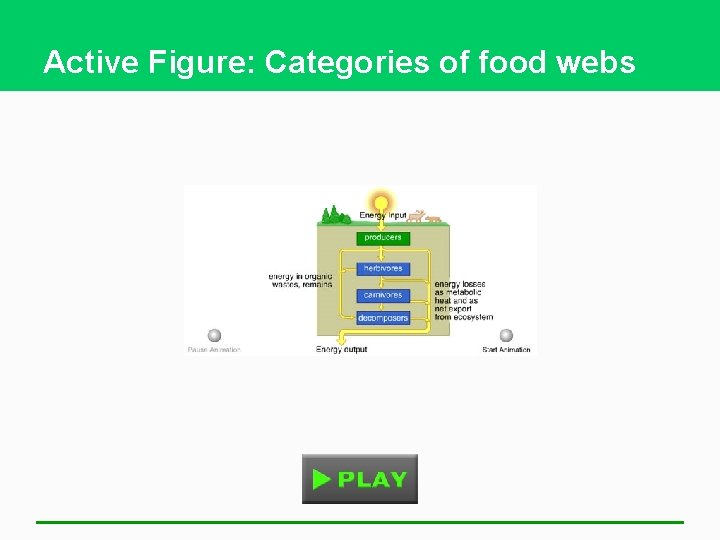 Active Figure: Categories of food webs 