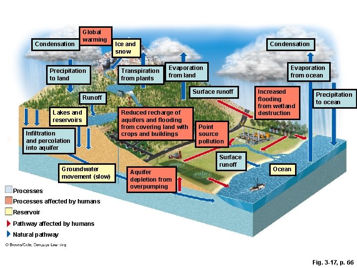 Condensation Global warming Precipitation to land Ice and snow Transpiration from plants Condensation Evaporation