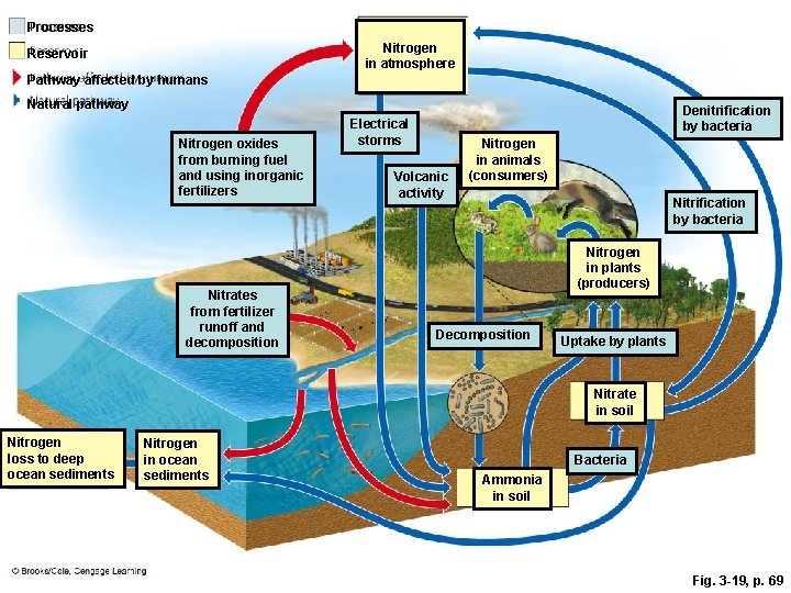 Processes Nitrogen in atmosphere Reservoir Pathway affected by humans Natural pathway Nitrogen oxides from