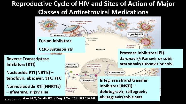 Reproductive Cycle of HIV and Sites of Action of Major Classes of Antiretroviral Medications