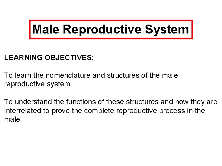 Male Reproductive System LEARNING OBJECTIVES: To learn the nomenclature and structures of the male