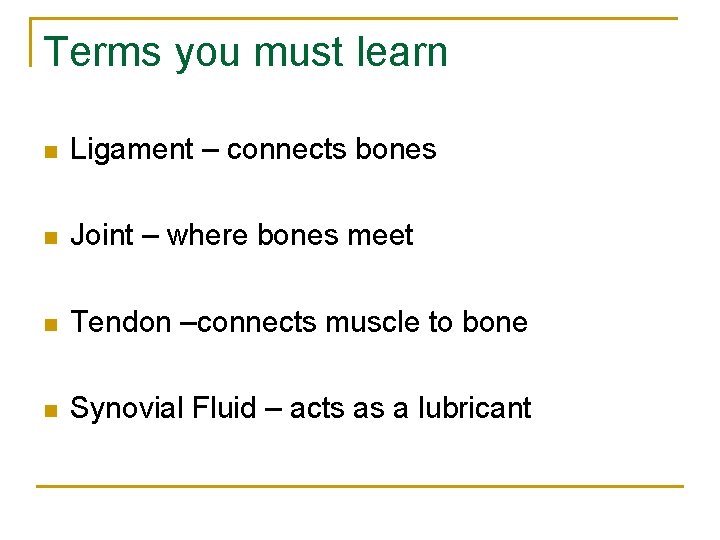 Terms you must learn n Ligament – connects bones n Joint – where bones