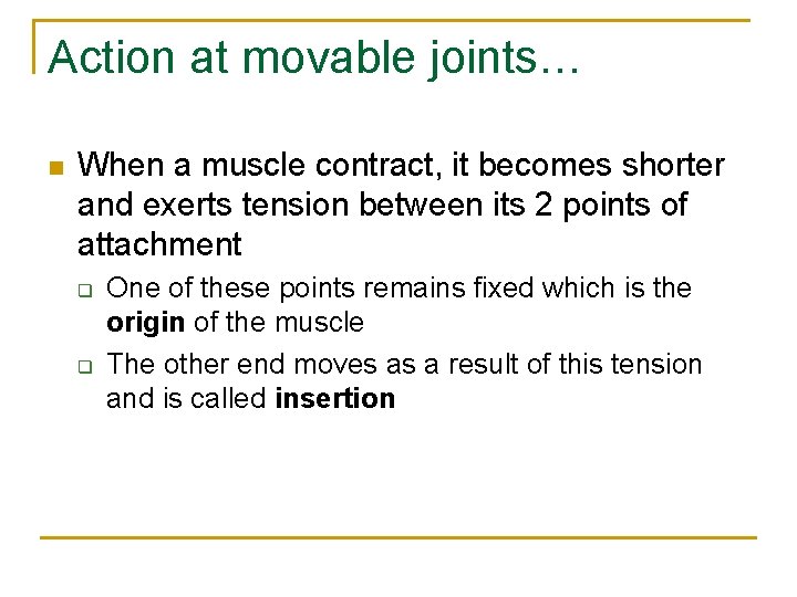 Action at movable joints… n When a muscle contract, it becomes shorter and exerts