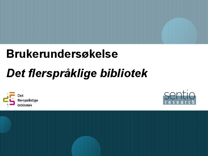 Brukerundersøkelse Det flerspråklige bibliotek 