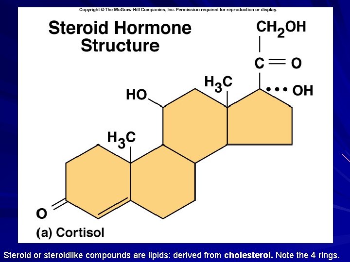 Steroid or steroidlike compounds are lipids: derived from cholesterol. Note the 4 rings. 