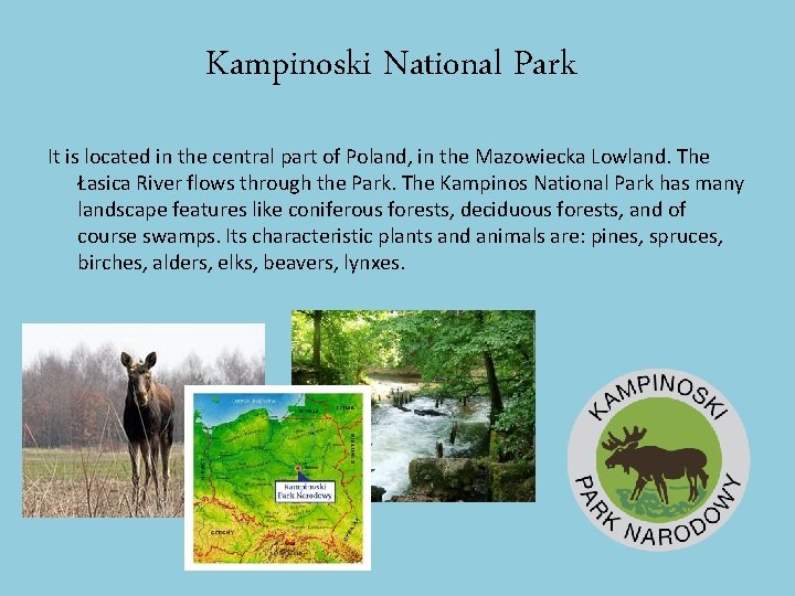 Kampinoski National Park It is located in the central part of Poland, in the