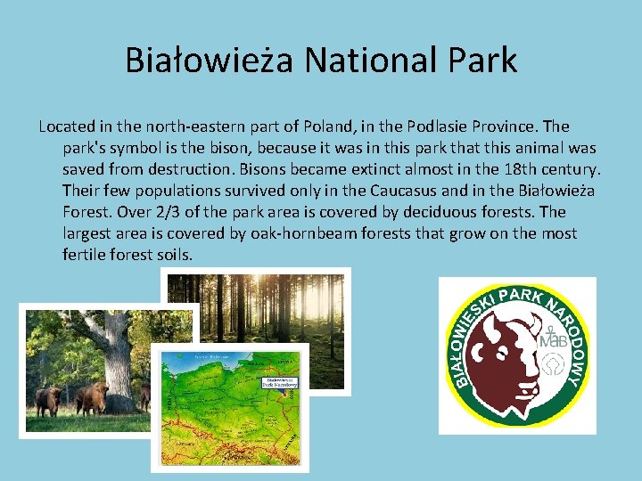 Białowieża National Park Located in the north-eastern part of Poland, in the Podlasie Province.