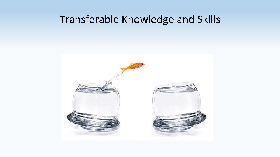 Transferable Knowledge and Skills 