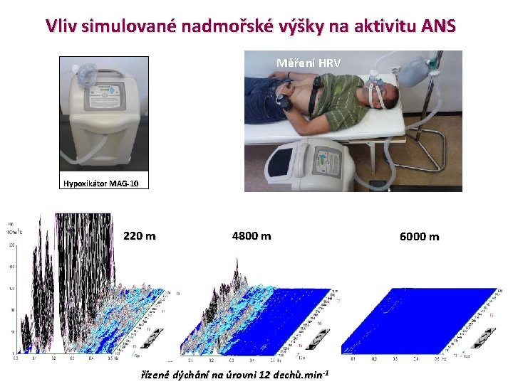 Vliv simulované nadmořské výšky na aktivitu ANS Měření HRV Hypoxikátor MAG-10 220 m 4800