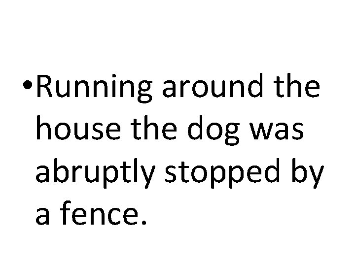  • Running around the house the dog was abruptly stopped by a fence.