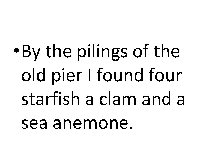  • By the pilings of the old pier I found four starfish a