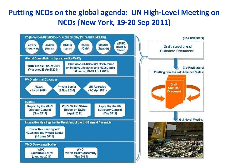 Putting NCDs on the global agenda: UN High-Level Meeting on NCDs (New York, 19