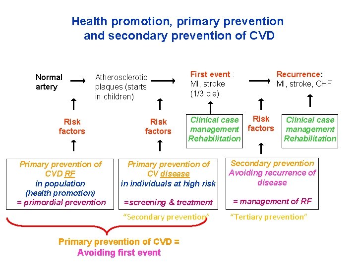 Health promotion, primary prevention and secondary prevention of CVD Normal artery Atherosclerotic plaques (starts