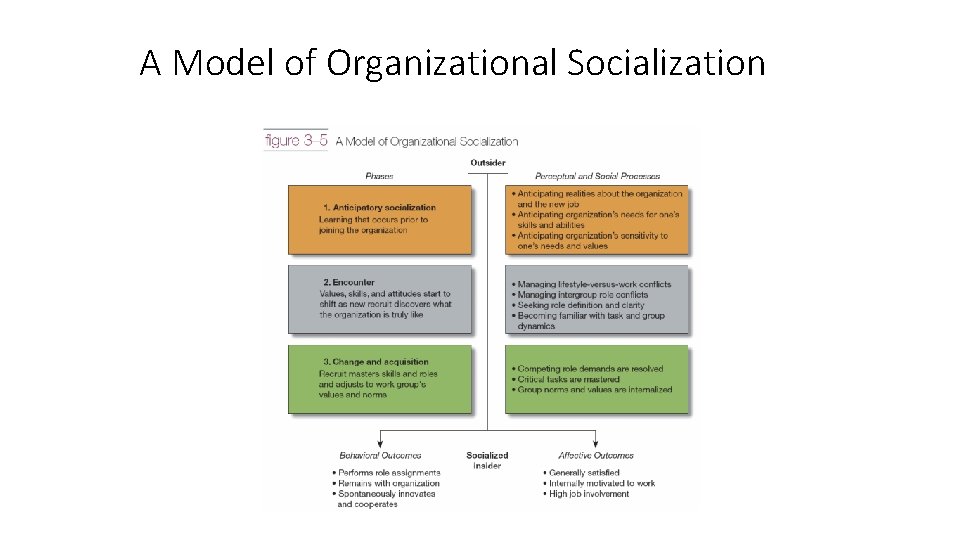 A Model of Organizational Socialization 