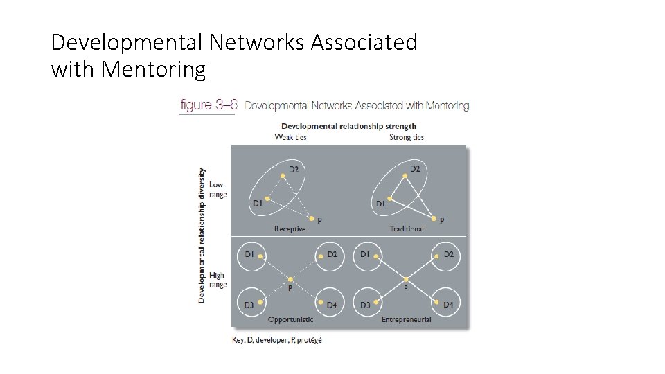 Developmental Networks Associated with Mentoring 