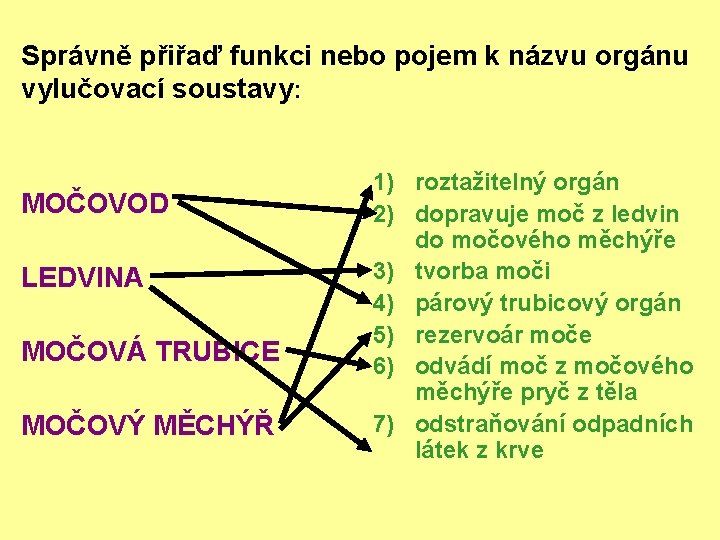 Správně přiřaď funkci nebo pojem k názvu orgánu vylučovací soustavy: MOČOVOD LEDVINA MOČOVÁ TRUBICE