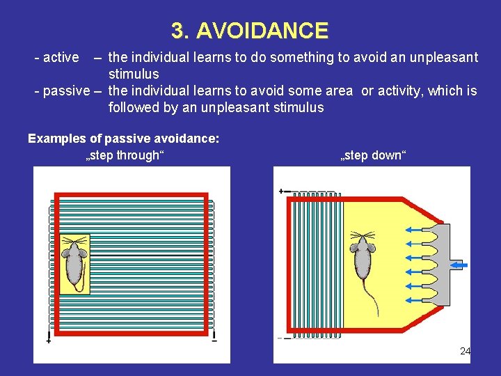 3. AVOIDANCE - active – the individual learns to do something to avoid an