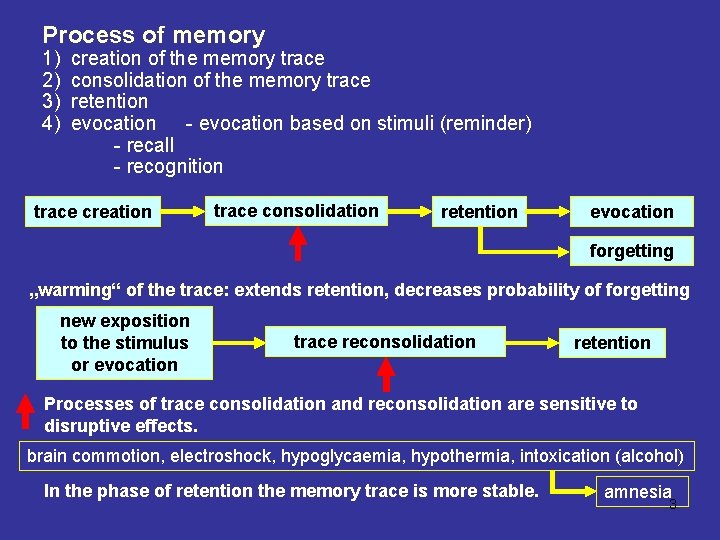 Process of memory 1) 2) 3) 4) creation of the memory trace consolidation of