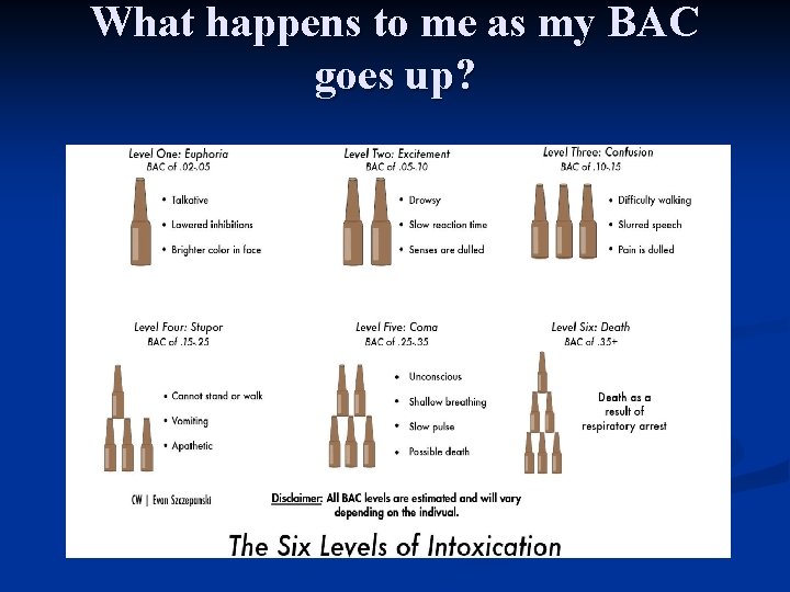 What happens to me as my BAC goes up? 