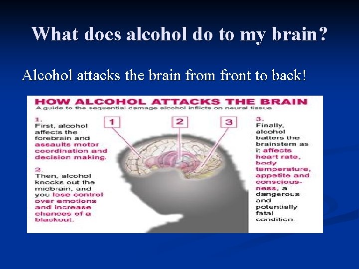 What does alcohol do to my brain? Alcohol attacks the brain from front to