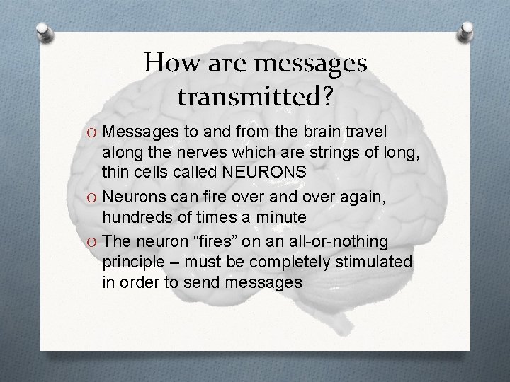 How are messages transmitted? O Messages to and from the brain travel along the
