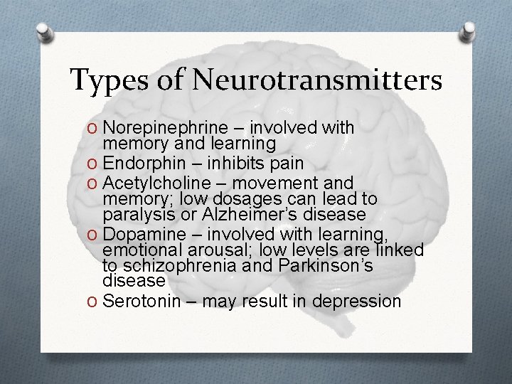 Types of Neurotransmitters O Norepinephrine – involved with memory and learning O Endorphin –
