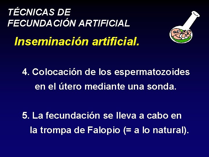 TÉCNICAS DE FECUNDACIÓN ARTIFICIAL Inseminación artificial. 4. Colocación de los espermatozoides en el útero