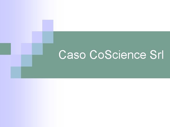 Caso Co. Science Srl 