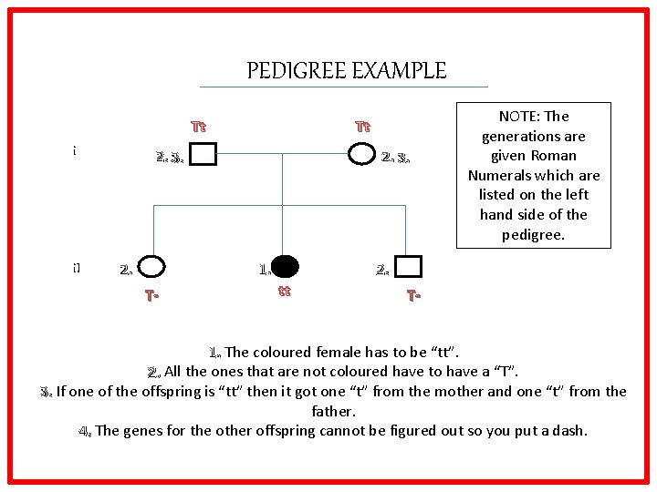 PEDIGREE EXAMPLE Tt i i. I Tt 2. 3. 1. T- NOTE: The generations