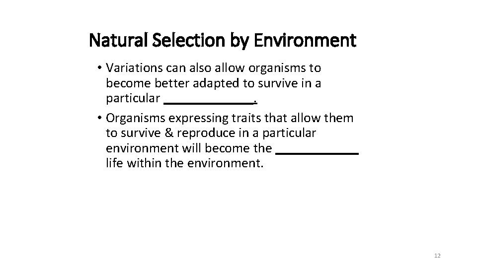 Natural Selection by Environment • Variations can also allow organisms to become better adapted