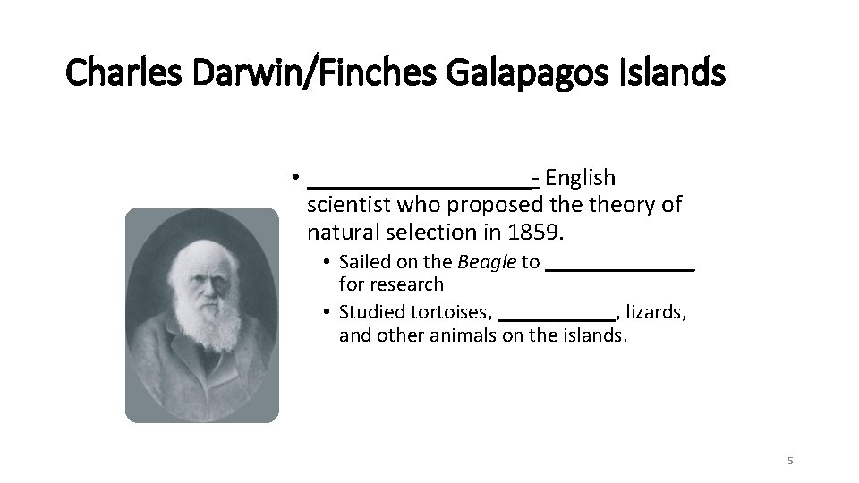Charles Darwin/Finches Galapagos Islands • _________- English scientist who proposed theory of natural selection