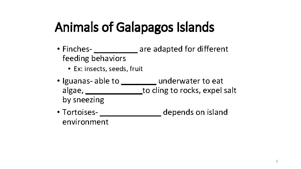 Animals of Galapagos Islands • Finches- _____ are adapted for different feeding behaviors •