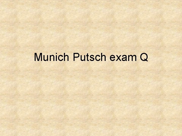 Munich Putsch exam Q 