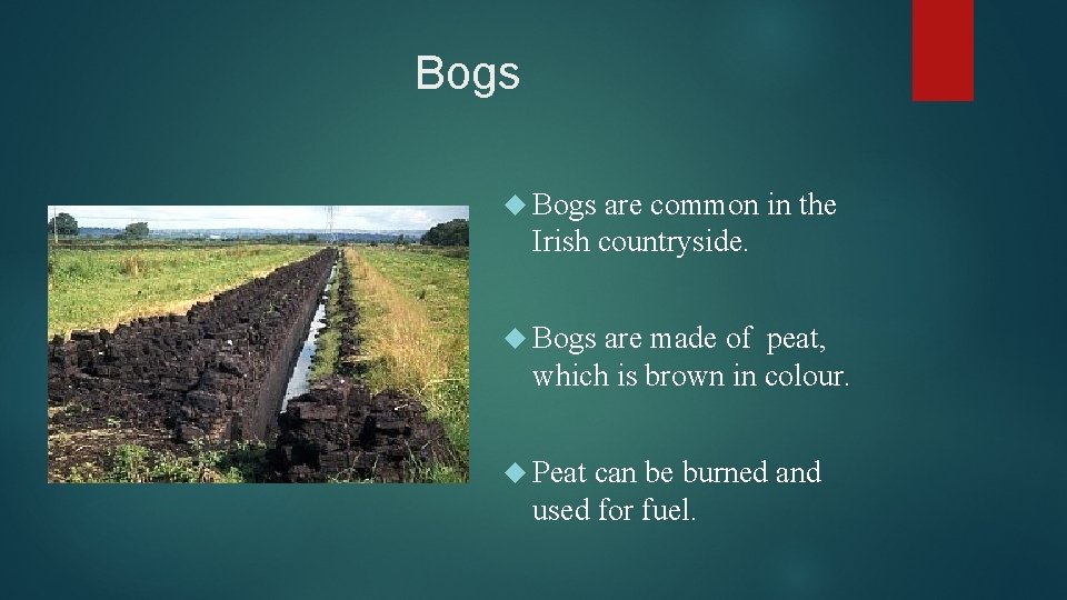 Bogs are common in the Irish countryside. Bogs are made of peat, which is