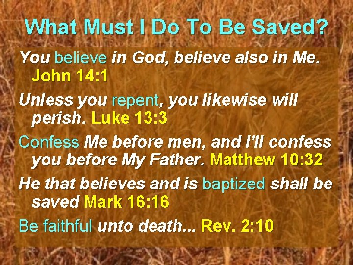 What Must I Do To Be Saved? You believe in God, believe also in