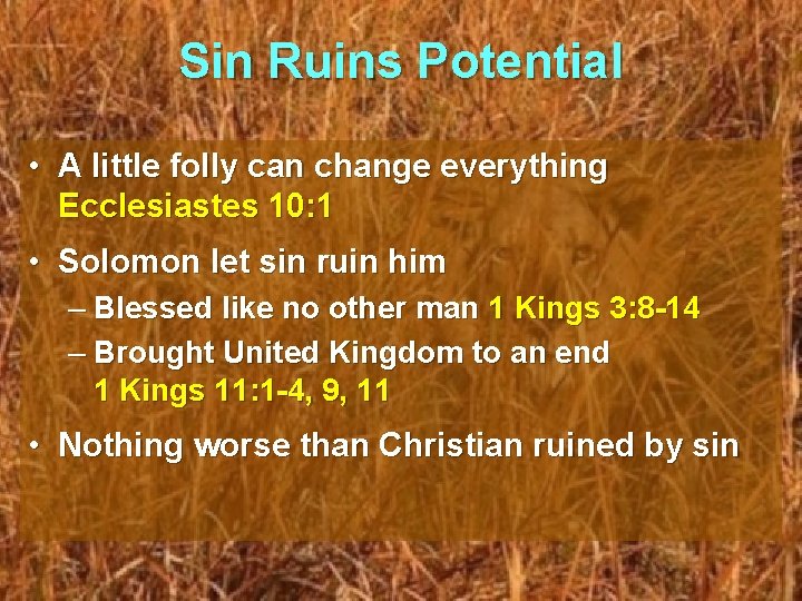 Sin Ruins Potential • A little folly can change everything Ecclesiastes 10: 1 •