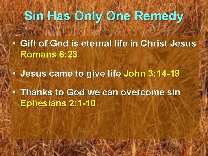 Sin Has Only One Remedy • Gift of God is eternal life in Christ