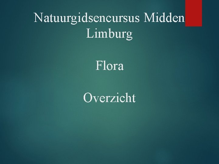 Natuurgidsencursus Midden Limburg Flora Overzicht 