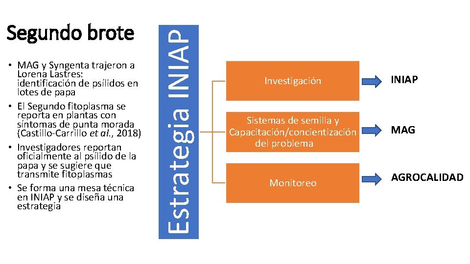 • MAG y Syngenta trajeron a Lorena Lastres: identificación de psílidos en lotes