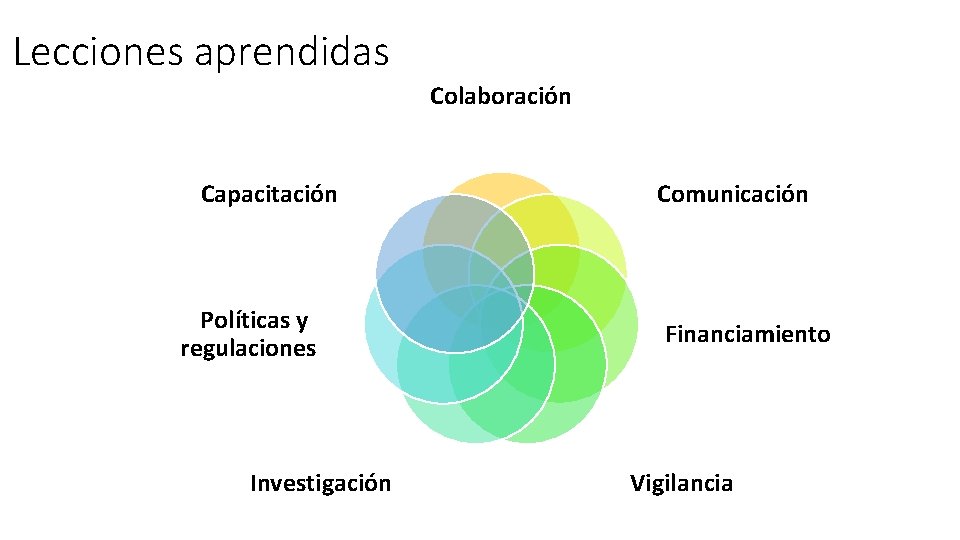 Lecciones aprendidas Colaboración Capacitación Políticas y regulaciones Investigación Comunicación Financiamiento Vigilancia 