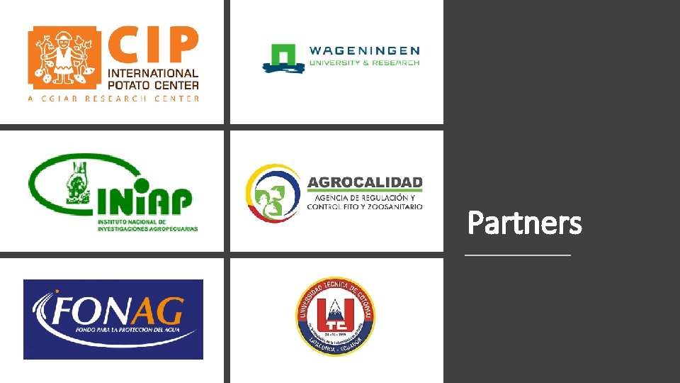 Partners 