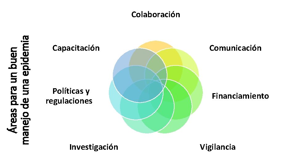 Áreas para un buen manejo de una epidemia Colaboración Capacitación Políticas y regulaciones Investigación