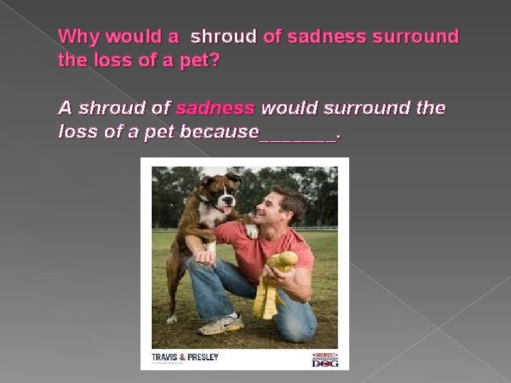 Why would a shroud of sadness surround the loss of a pet? A shroud