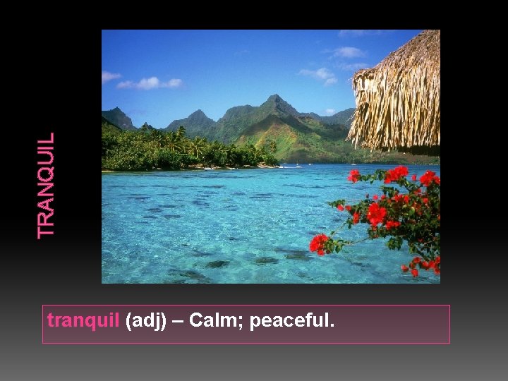 TRANQUIL tranquil (adj) – Calm; peaceful. 