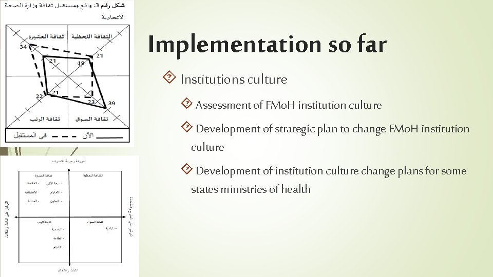 28 Implementation so far Institutions culture Assessment of FMo. H institution culture Development of